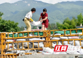 隆回：免费发放有机肥 助力农民增效