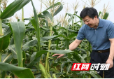 省乡村振兴局赴新邵调研乡村振兴工作