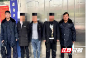 18人被刑拘！只因他们干了这事