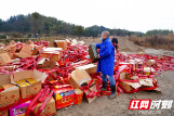 邵阳绥宁：集中销毁一批非法烟花爆竹
