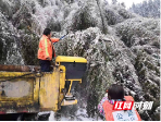 邵阳绥宁：启动冰雪三级应急响应积极应对冰雪灾害