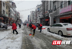 武冈市农业农村局：“红马甲”清扫街道积雪获百姓点赞