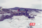 新宁县高桥镇清水村：以雪为令保畅通 及时清雪暖人心
