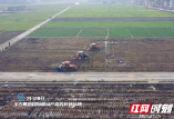 视频丨隆回超级稻基地备耕忙 继续冲刺亩产1200公斤目标