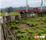 新宁崀山镇崀笏村：积极探索旅游业态村集体经济项目 助力乡村振兴