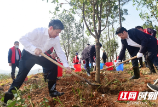 邵阳市开展义务植树活动，严华华学健等市领导参加