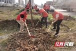 双清区文旅广体局：植树造林添新绿 乡村振兴增活力