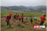 武冈市荆竹铺镇义务植树为大地添新绿