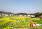 隆回：“幸福乡村”美如仙景