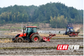又是一年春丨隆回：田间地头春耕忙