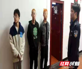 新宁公安打掉一个盗窃车内财物团伙