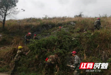 城步土桥农场管理区多措并举筑牢森林防火屏障