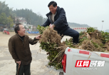 隆回：阳光助残“致富茶苗”送上门