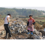 人勤春早好风光——双清区渡头桥镇春季备耕、高标准农田建设见闻