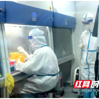 战“疫”日记 | 罗寒：闻令而动，打好家乡保卫战