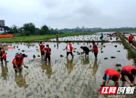 邵东市两市塘街道：疫情防控不松懈 早稻生产不放松