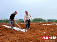 湖南邵东：全面推行“田长制”打好耕地保护“组合拳”