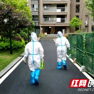 战“疫”日记 | 王思辉：待春暖花开之时，我们繁华与共
