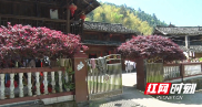 邵阳绥宁：打造“清廉村居” 为乡村振兴注入“廉动力”