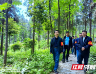 洞口县：林长巡林常态化，森林防火“永无休”