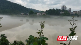 邵阳绥宁：雨后天晴出现壮观的平流雾景观 县城秒变“海市蜃楼” 