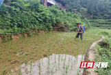 城步兰蓉乡：守住耕地红线 不误农时不负春