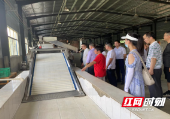新宁县黄龙镇羊坪村：联建协力促发展活动如火如荼