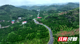 邵阳新宁：“醉美”橙道成新景