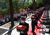 英雄“归队”！城步苗族自治县举行零散烈士墓集中迁葬仪式