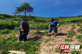 新邵：全力推进林长制工作，守护青山绿水