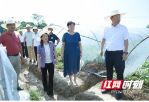 邵阳市科协深化科技下乡助力乡村振兴