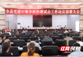 城步召开党建引领乡村治理试点工作动员部署会