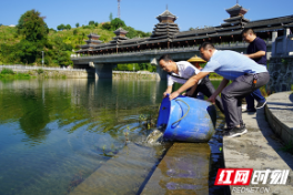 邵阳绥宁：投放200万尾鱼苗助力河道生态环境改善