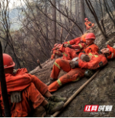 洞口县林业局森林消防中队荣获全国森林草原防火工作先进单位