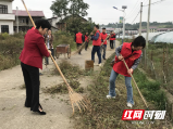 大祥区：党员带头清扫  共建美丽乡村
