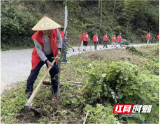 城步西岩镇：党建引领“生态绿”利剑行动“见实效”