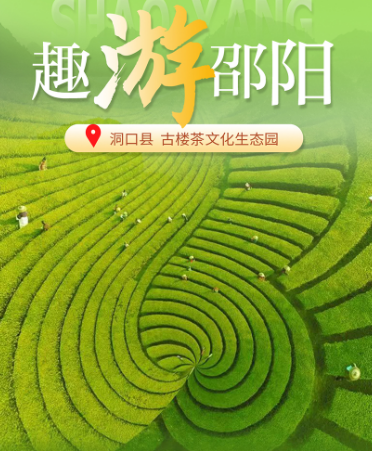 印象邵阳丨每日一景：洞口县古楼茶文化生态园