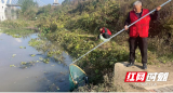 大祥区城西街道：清理水葫芦 确保河畅水清