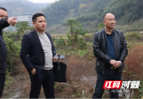 邵阳县：三级政协委员联动开展受污染耕地安全利用率专项民主监督 “回头看”
