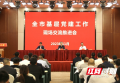 邵阳市基层党建工作现场交流推进会在城步召开