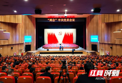 邵阳市“两会”中共党员会议召开