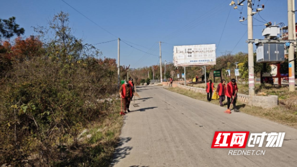 邵阳县郦家坪镇：深化党建引领，助推人居环境焕新颜