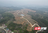 城步：发展特色水果种植 踏上致富好“钱”景