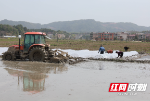 邵东市：集中育秧跑出春耕“加速度”