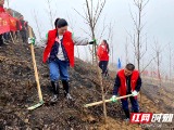 邵东：植树护河贯彻河长制 共创绿色家园