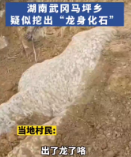 最新！湖南武冈挖出“龙身化石”？ 专家鉴定：天然石头