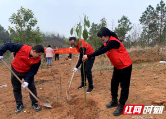 邵阳市第二人民医院：春风催新绿植树正当时