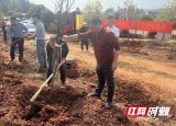 新邵县林业局：筑牢生态屏障 促进民族团结