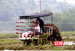 向兵到檀江街道调研春耕生产工作