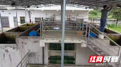 洞口县：自来水公司高沙水厂改进设施月供水量达23万吨